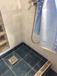 La salle de bains est pourvue d'une douche et de carrelage bleu. dans l'établissement Ilona Kis Kastély Panzió, à Keszthely