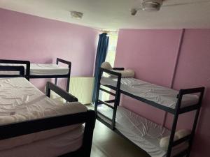 two bunk beds in a room with pink walls at Auberge Granit Rose - Hébergement partagé en Auberge de Jeunesse - Vue sur mer - Dortoir mixte & Camping in Trébeurden