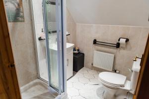 a bathroom with a shower and a toilet at Pentigili in St. Davids