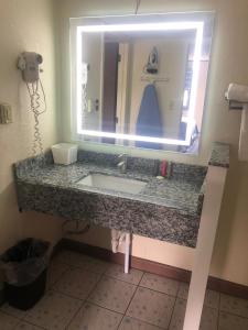 a bathroom with a sink and a large mirror at Aderi Hotel Near Bucknell University in Lewisburg