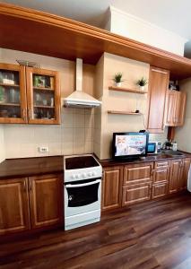 カリーニングラードにあるApartment on Gagarina 2Aのキッチン(木製キャビネット、コンロ付)