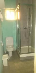 a bathroom with a toilet and a glass shower at DanRitzcer Suites in Accra