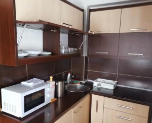 a kitchen with a microwave and a sink at Apartman sa terasom Vila Mina Kopaonik in Kopaonik
