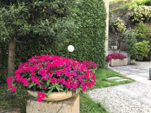 Gambar di galeri bagi Villa Ombrosa di Nebbiuno