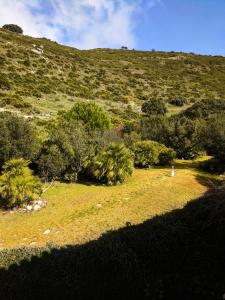 Paisaje cerca de este hotel