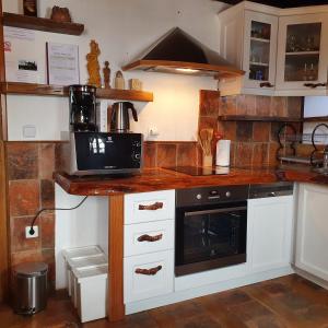 a kitchen with a counter top with a microwave at Domus Antiqua in Gornja Voća +40 photos