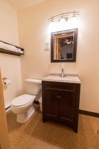 a bathroom with a toilet, sink and mirror at McKinley Creekside Cabins in McKinley Park