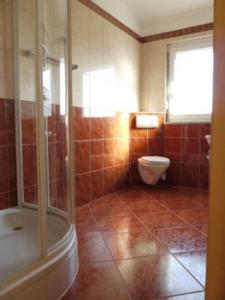 a bathroom with a shower and a toilet in it at Villa del Golfo in Savudrija
