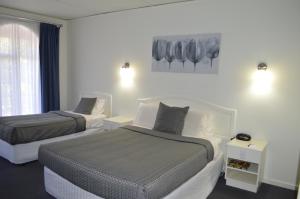 Un pat sau paturi într-o cameră la Cathedral Motor Inn
