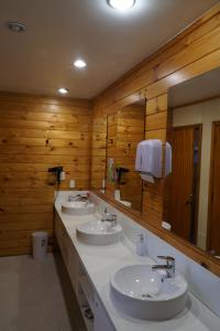 Koupelna v ubytování Altamont Lodge
