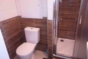 łazienka z toaletą i prysznicem w obiekcie Apartmán Jakub Sklář w mieście Železná Ruda