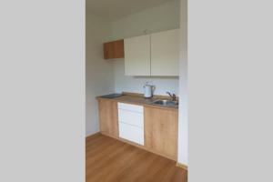 Kuchyňa alebo kuchynka v ubytovaní Apartmán Jakub Sklář + 4 fotografie
