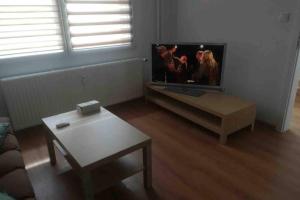 Televízia a/alebo spoločenská miestnosť v ubytovaní Apartmán Jakub Sklář