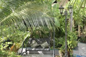 Zahrada ubytování Daisy Cottage Dhangethi
