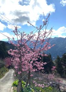 Paesaggio naturale nelle vicinanze dello chalet