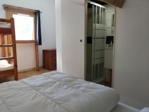 Schlafzimmer mit einem Bett und einer Glasdusche in der Unterkunft les Balcons de l'Izoard - la Marmotte in Arvieux