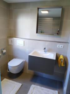 a bathroom with a toilet and a sink and a mirror at Ferienwohnung Helmberger in Burgkirchen in Burgkirchen an der Alz +6 photos