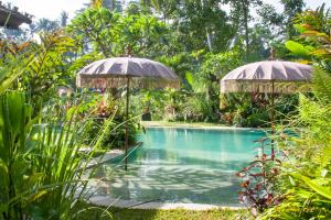 Swimmingpoolen hos eller tæt på Villa Mahadevi 2 Ubud Jungle Retreat Joglo