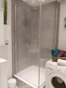 a shower in a bathroom with a washing machine at Fräulein Emma Lotta in Kronsgaard