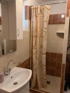 uma casa de banho com um lavatório e uma cortina de chuveiro em Katarina apartman em Hajdúszoboszló