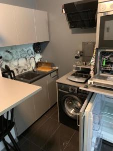 a kitchen with a washing machine and a sink at Ingress in Bytom