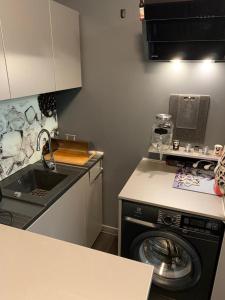 a kitchen with a dishwasher and a washing machine at Ingress in Bytom