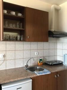 Kuchyň nebo kuchyňský kout v ubytování Ammos Studios and Apartments