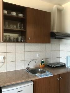 Kuchyň nebo kuchyňský kout v ubytování Ammos Studios and Apartments