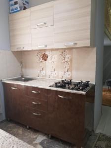 a kitchen with a stove and a counter top at Kiki's House in Borjomi