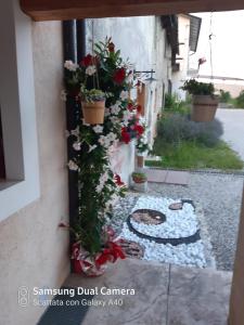Fotografie z fotogalerie ubytování Giuliva B&B v destinaci Refrontolo