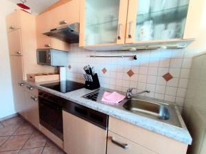 Kuchyň nebo kuchyňský kout v ubytování BodenSEE Gästehaus Tettnang ALBERGO