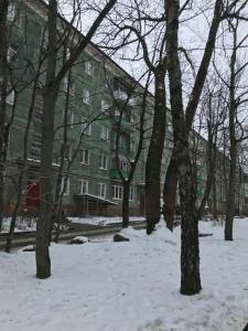 カリーニングラードにあるKosmicheskaia 22-18の緑の建物の前の雪の木々