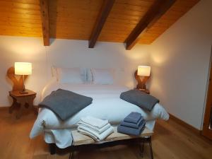 Un pat sau paturi într-o cameră la Chalet “In dai Guriuz”
