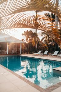- une piscine bordée de chaises et de palmiers dans l'établissement Résidence de tourisme Domaine Saint-François, à Saint-François