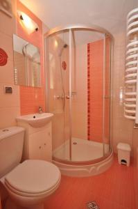 a bathroom with a shower and a toilet and a sink at Pokoje u Małgorzatki in Murzasichle