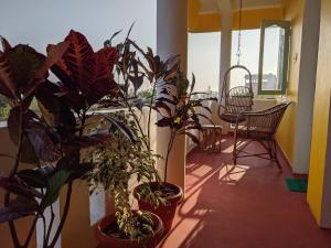 マハーバリプラムにあるBlue Moon Guest Houseの植物のある廊下、テーブルと椅子