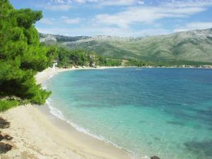 Blick auf einen Strand mit Bäumen und das Meer in der Unterkunft Apartments Pičuljan 2829 in Rab