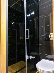 een badkamer met toilet en glazen douche bij Apartament Wałbrzych / Piaskowa Góra in Wałbrzych +6 foto's