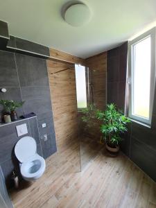 a bathroom with a toilet and a glass shower at Grand Palace in Trogir