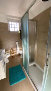 a bathroom with a glass shower and a toilet at Cozy Apartment Barzio in Barzio