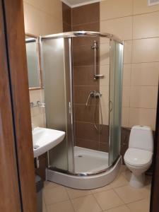 a bathroom with a shower with a toilet and a sink at Willa Feniks in Łeba +64 photos