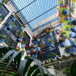 um edifício com um monte de vasos de plantas sobre ele em Picasso City Center 1A em Málaga