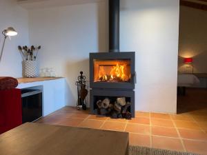 a fireplace in a living room with a fire at Aldea Roqueta Hotel Rural in Els Ibarsos