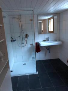 W łazience znajduje się prysznic i umywalka. w obiekcie Haus Diezig w mieście Niederwald