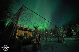 Fotografie z fotogalerie ubytování Old Pine Husky Lodge v destinaci Sompujarvi