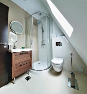 a bathroom with a shower and a toilet and a sink at Casa Varful Cu Dor in Sinaia
