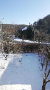 Dolany的住宿－Apartmán u Kartouzky，一片覆盖着树木和栅栏的雪地
