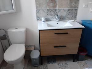 ein Bad mit einem WC und einem Waschbecken in der Unterkunft Au cœur de Pornic in Pornic