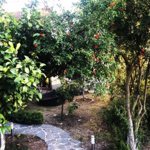 un giardino con alberi da frutto rossi e un sentiero in pietra di Villa No 5 a Bodrum City