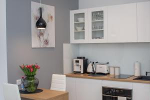 A kitchen or kitchenette at Apartamenty AP 10